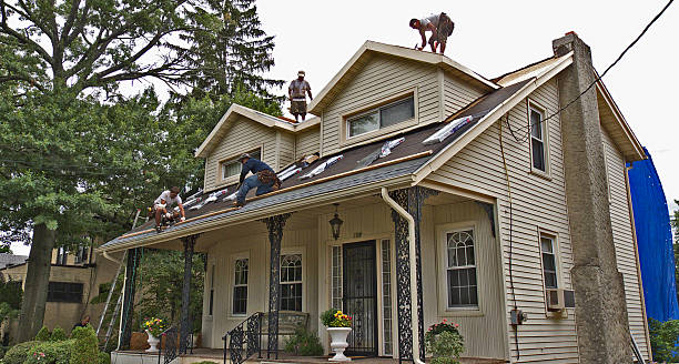 Best Roof Gutter Cleaning  in Savannah, MO